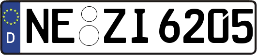 NE-ZI6205