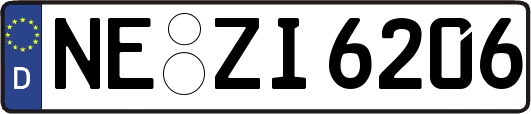 NE-ZI6206