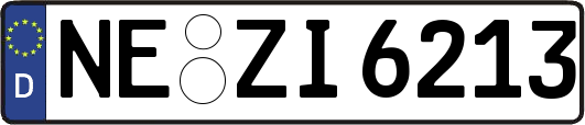 NE-ZI6213
