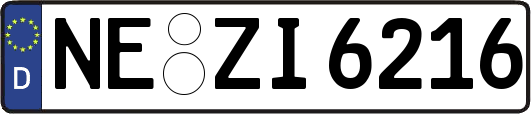 NE-ZI6216