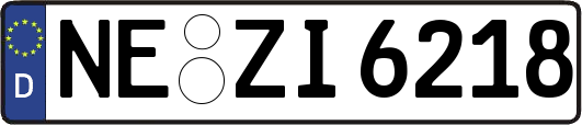 NE-ZI6218