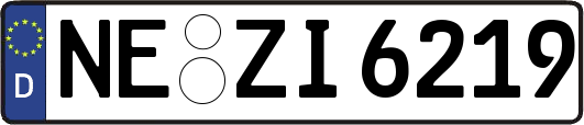 NE-ZI6219