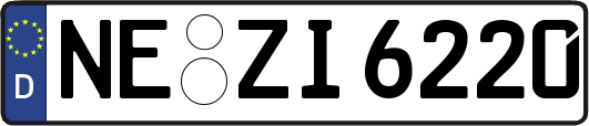 NE-ZI6220