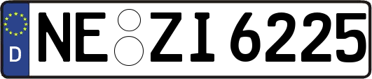 NE-ZI6225