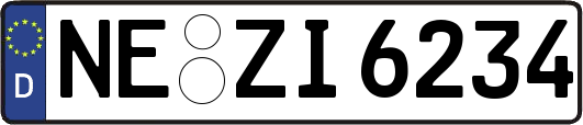 NE-ZI6234