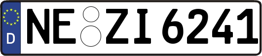 NE-ZI6241