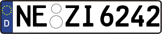 NE-ZI6242