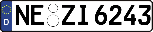 NE-ZI6243