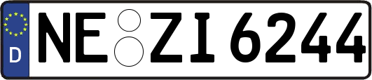 NE-ZI6244