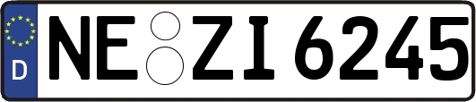 NE-ZI6245