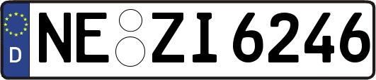 NE-ZI6246