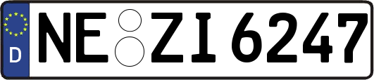 NE-ZI6247