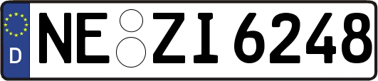 NE-ZI6248