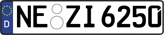 NE-ZI6250