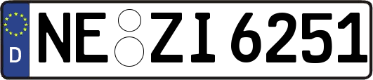 NE-ZI6251