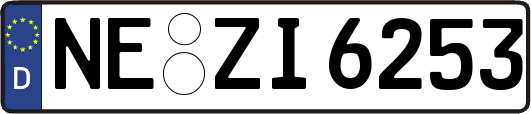NE-ZI6253