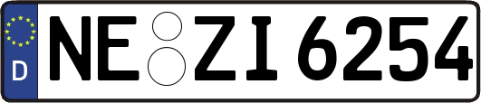 NE-ZI6254