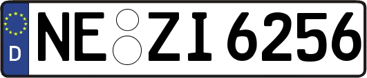 NE-ZI6256
