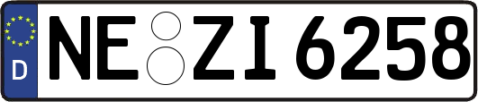 NE-ZI6258