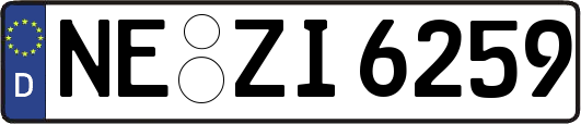 NE-ZI6259