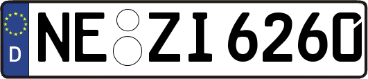 NE-ZI6260