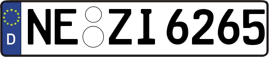 NE-ZI6265
