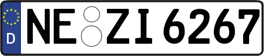 NE-ZI6267