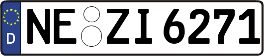 NE-ZI6271