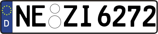 NE-ZI6272