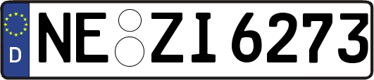 NE-ZI6273
