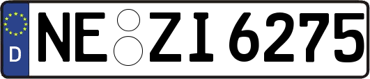 NE-ZI6275
