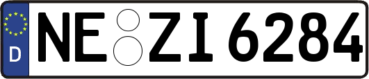 NE-ZI6284
