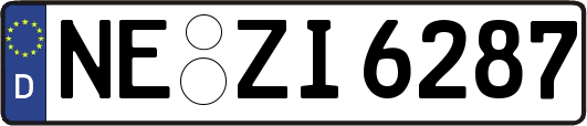 NE-ZI6287