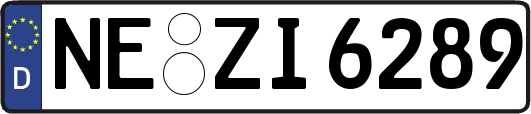 NE-ZI6289