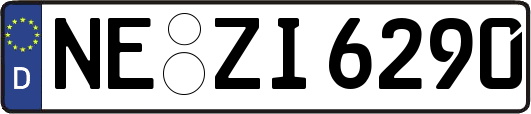 NE-ZI6290