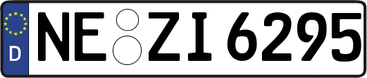 NE-ZI6295