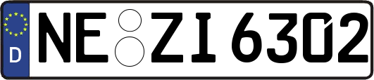 NE-ZI6302
