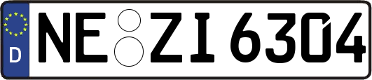 NE-ZI6304
