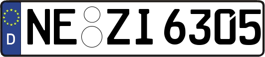 NE-ZI6305