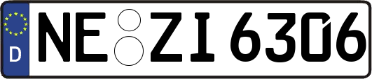 NE-ZI6306