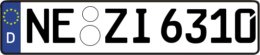 NE-ZI6310
