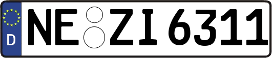 NE-ZI6311