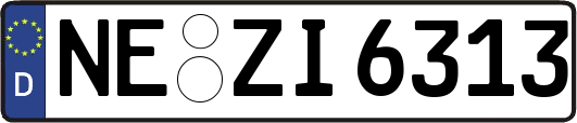 NE-ZI6313