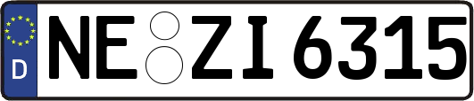 NE-ZI6315
