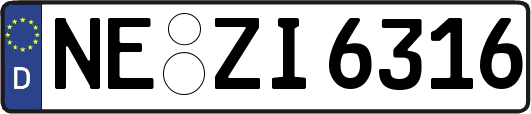 NE-ZI6316