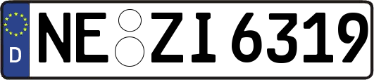 NE-ZI6319