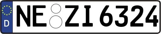 NE-ZI6324