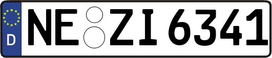 NE-ZI6341