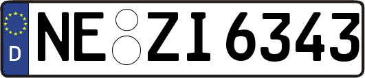 NE-ZI6343