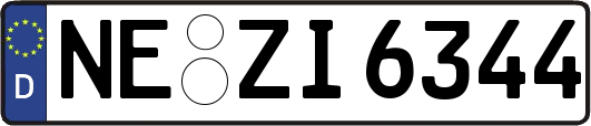 NE-ZI6344